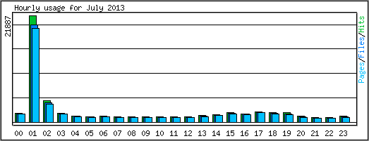 Hourly usage