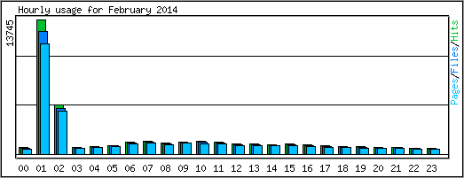 Hourly usage