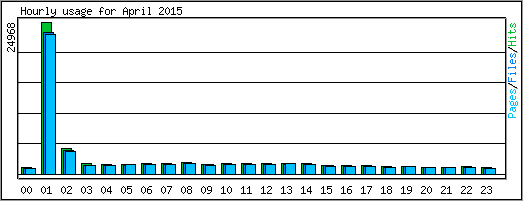 Hourly usage