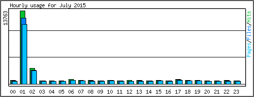 Hourly usage