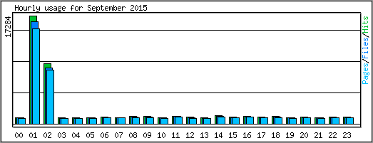 Hourly usage