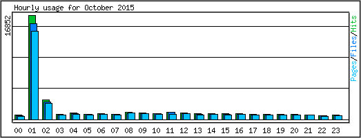 Hourly usage