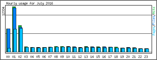 Hourly usage