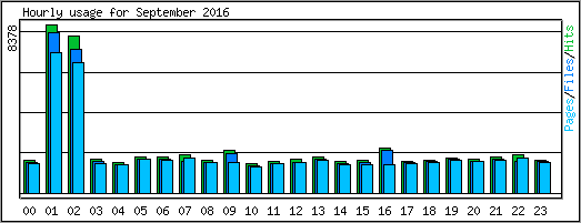 Hourly usage