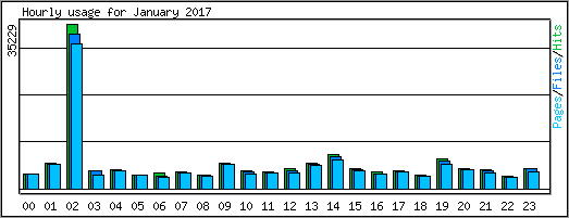 Hourly usage