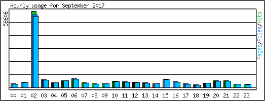 Hourly usage