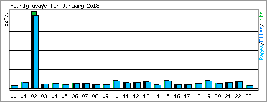 Hourly usage