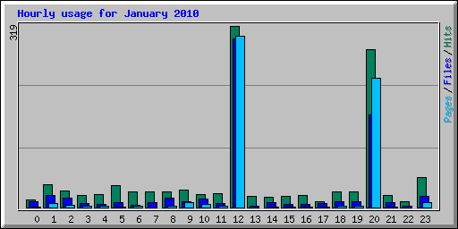 Hourly usage for January 2010