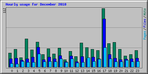 Hourly usage for December 2010