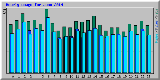 Hourly usage for June 2014