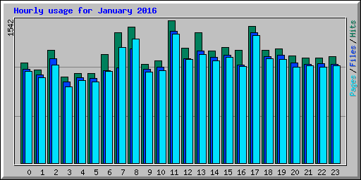 Hourly usage for January 2016