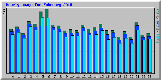 Hourly usage for February 2016