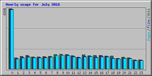 Hourly usage for July 2016