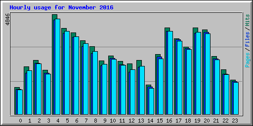 Hourly usage for November 2016