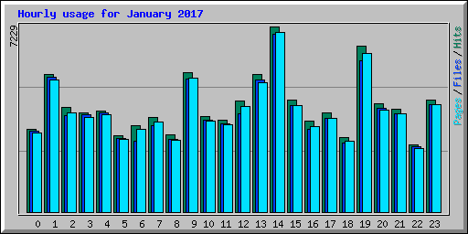 Hourly usage for January 2017